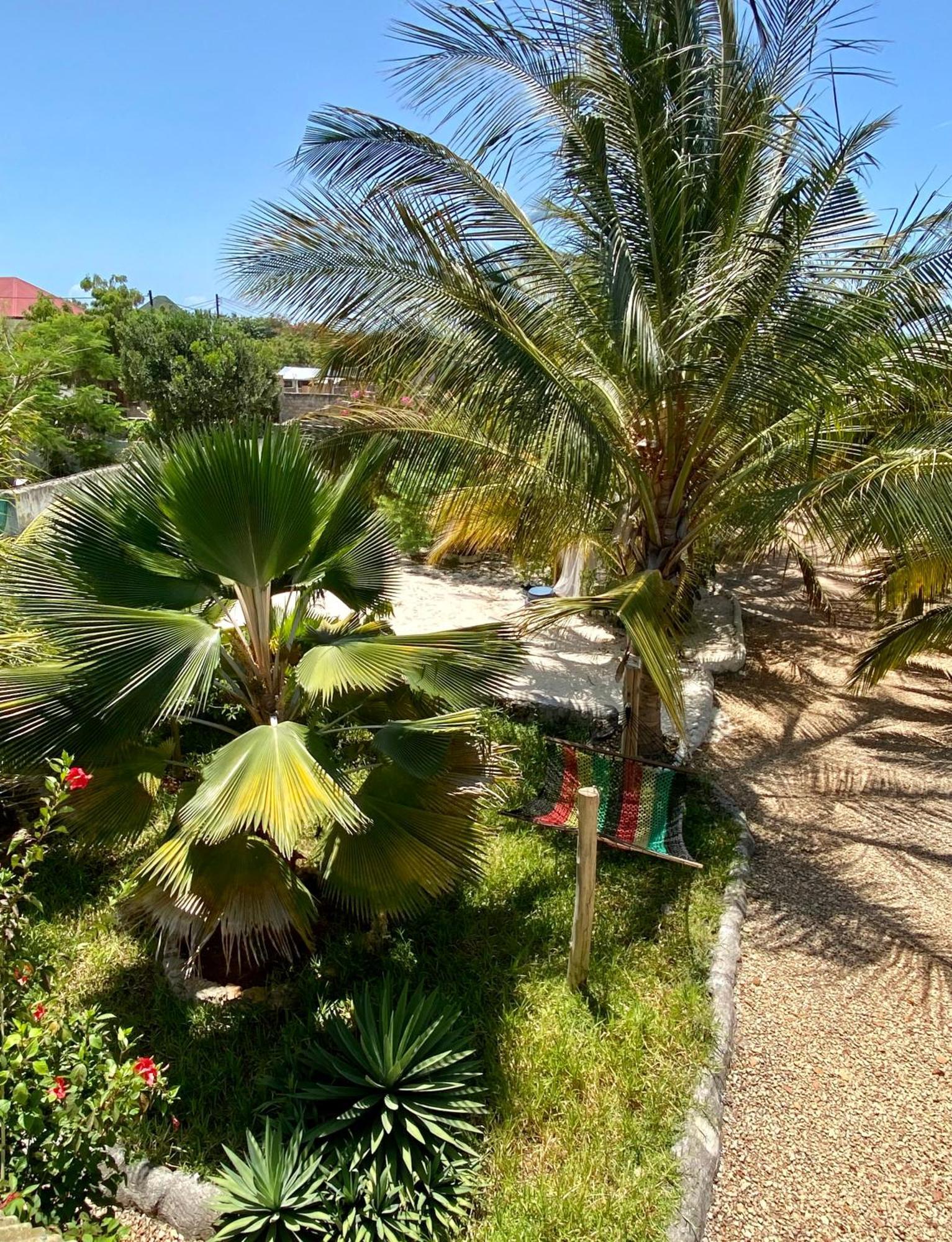 Darwesh Nyumba Lodge Nungwi Kültér fotó